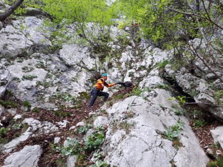 Pomoč očetu in sinu, ki sta se izgubila na sestopu po neoznačeni poti z Velike planine. Po padcu sta se zaustavila v grapi nad skalnim skokom. Prvega smo po vrvi rešili fantka, 12. maj 2019. (Foto Vladimir Habjan)